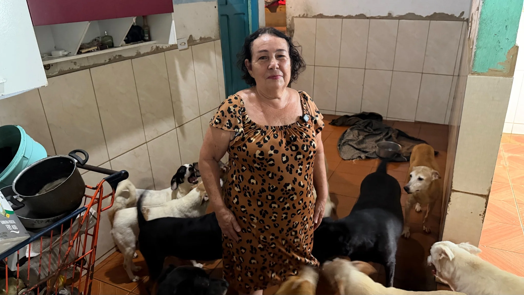 Dê uma nova chance ao amor